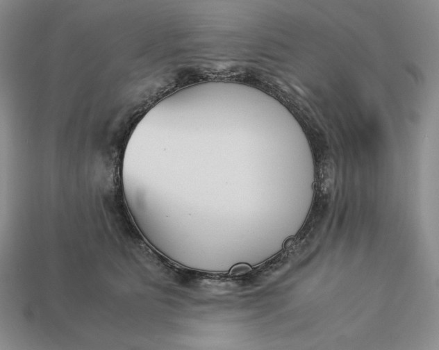 X0000113140515200909181732