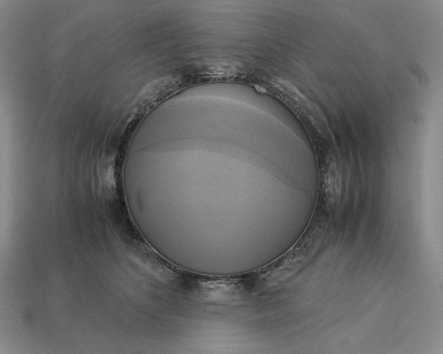 X0000113140516200909181732