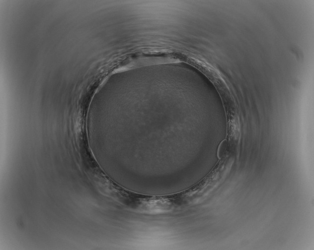 X0000113140517200909181732