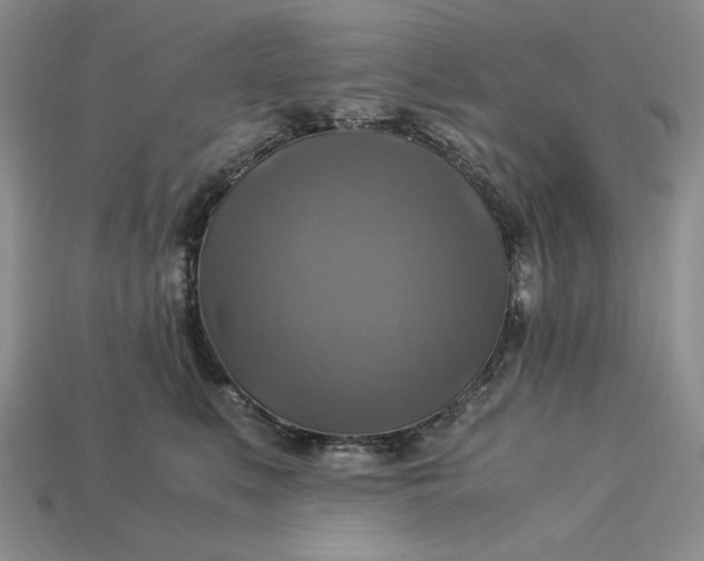 X0000113140519200909181732