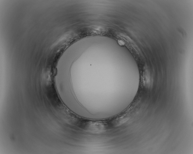 X0000113140520200909181732