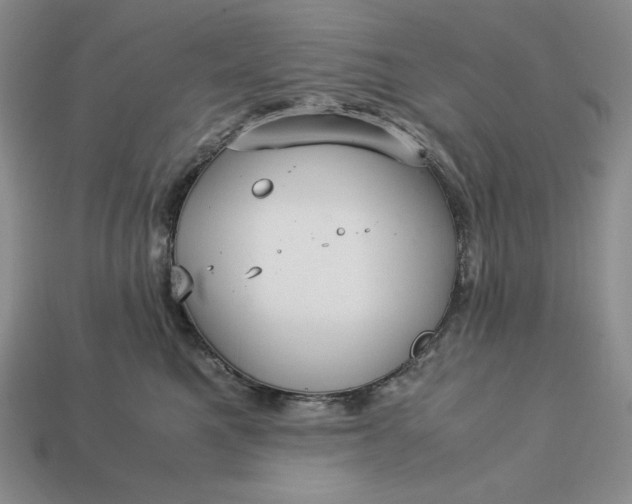 X0000113140521200909181732