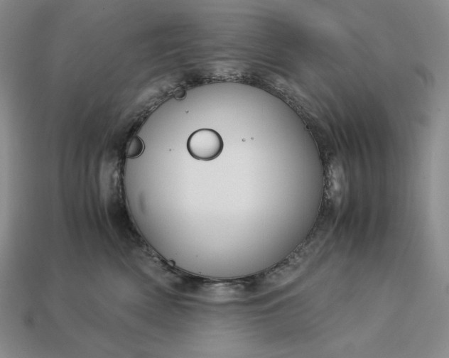 X0000113140522200909181732