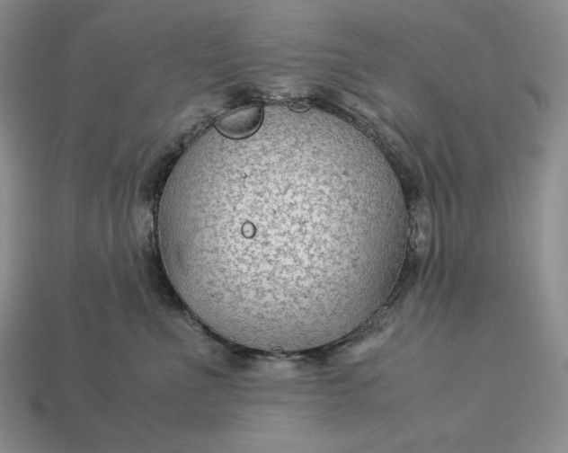 X0000113140523200909181732