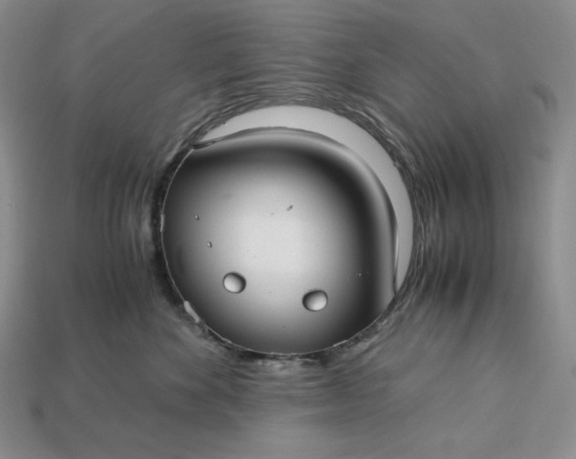 X0000113140524200909181732