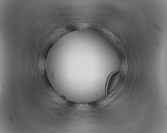 X0000113140525200909181732