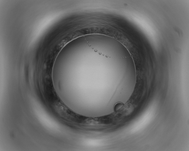 X0000113140526200909181732