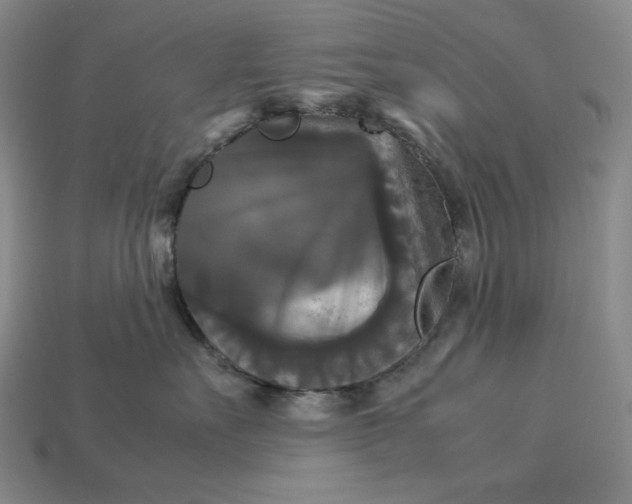 X0000113140527200909181732