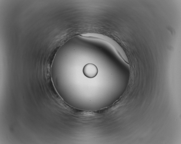 X0000113140528200909181732