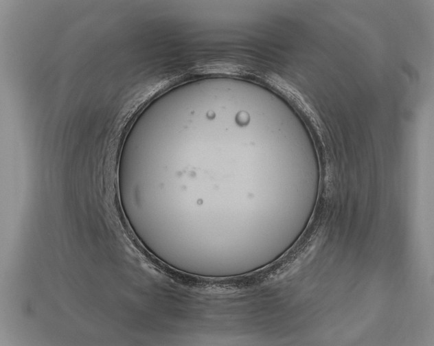 X0000113140529200909181731