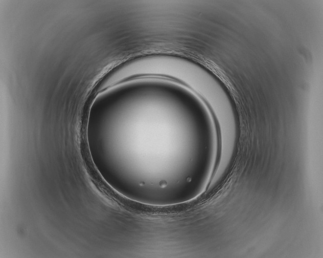 X0000113140530200909181731