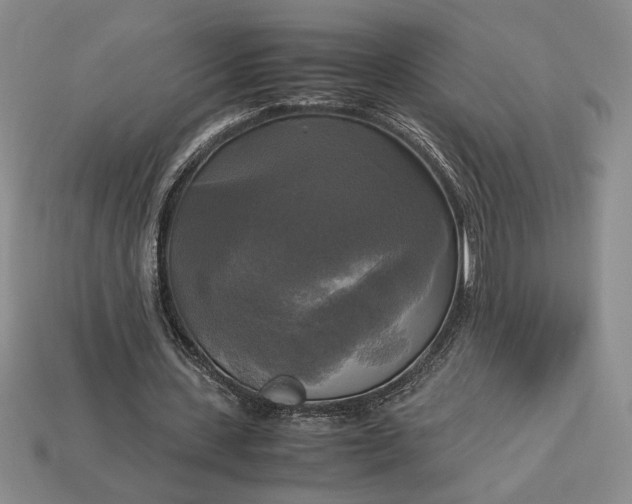 X0000113140531200909181731