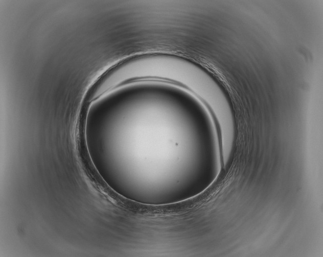 X0000113140532200909181731