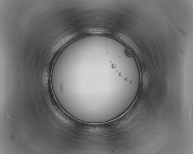 X0000113140533200909181731