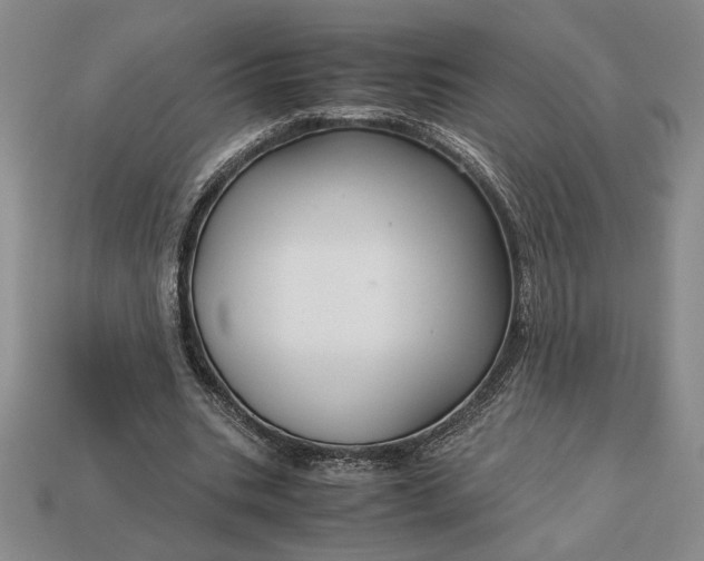 X0000113140535200909181731