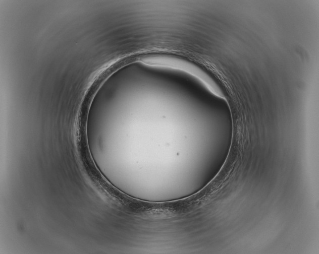 X0000113140536200909181731