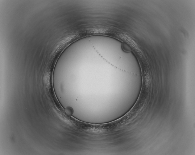 X0000113140537200909181731