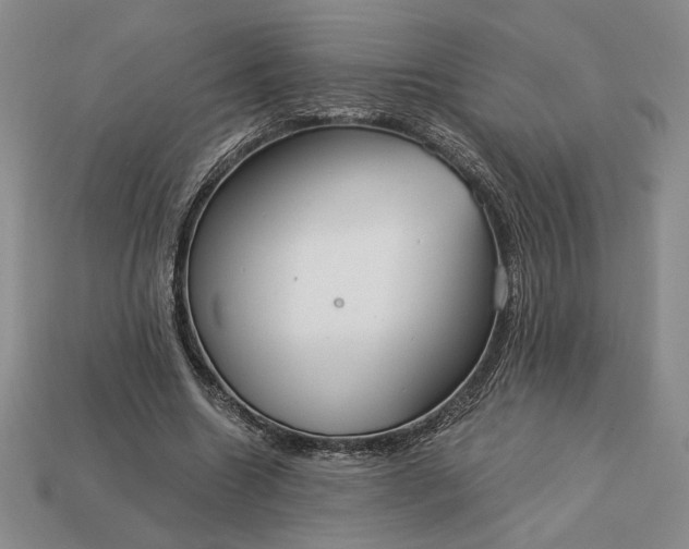 X0000113140538200909181731