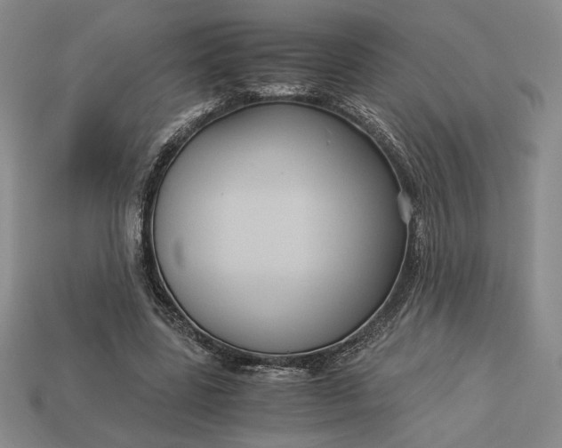 X0000113140539200909181731