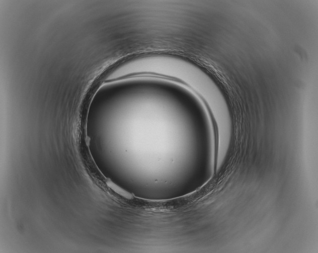 X0000113140540200909181731