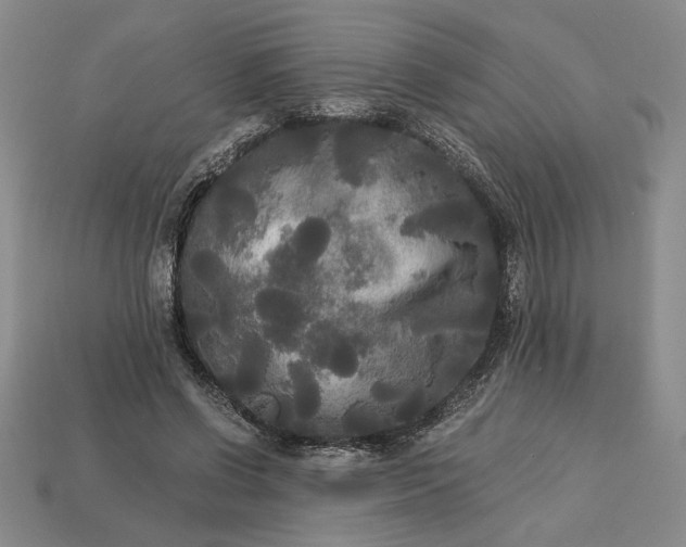 X0000113140542200909181731