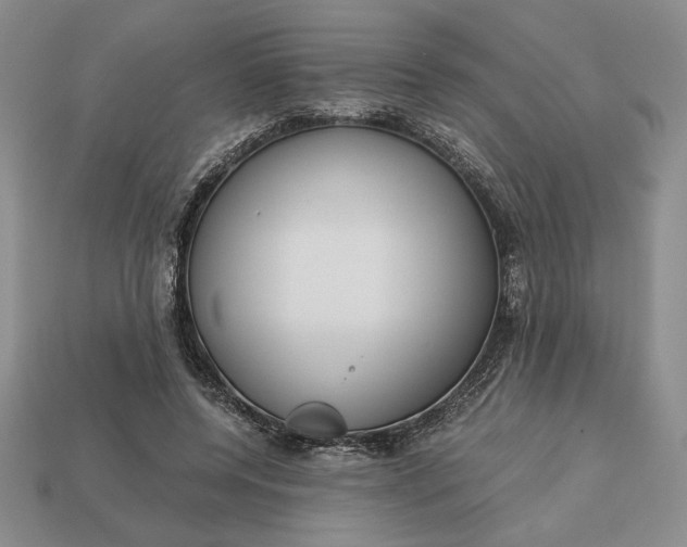 X0000113140544200909181731