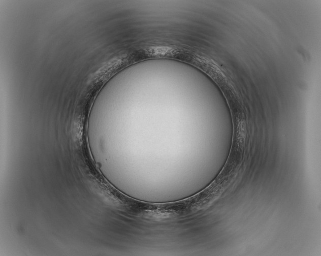 X0000113140545200909181731