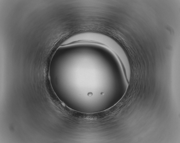 X0000113140546200909181731