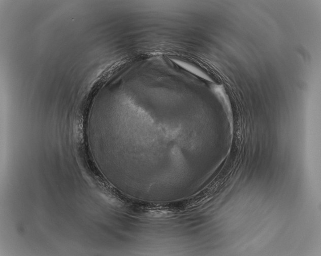 X0000113140547200909181731