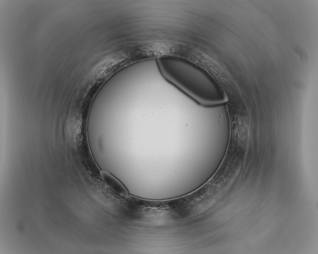 X0000113140548200909181732