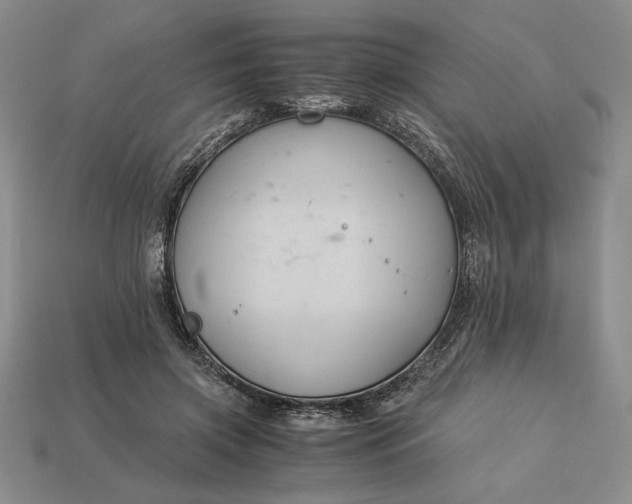 X0000113140549200909181732