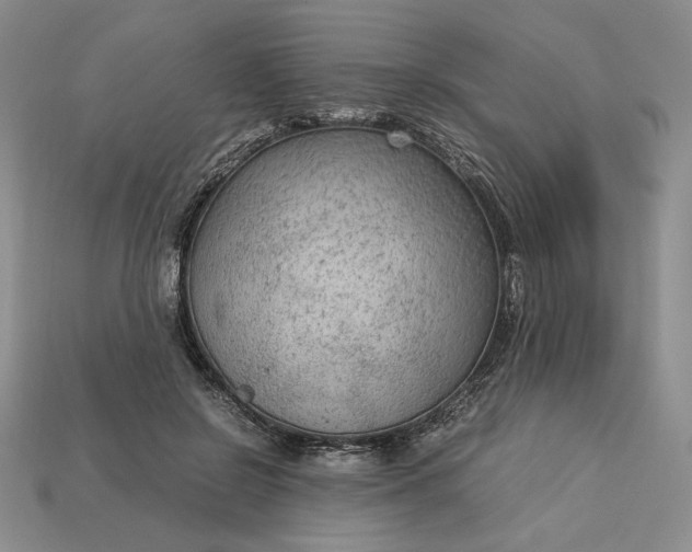 X0000113140550200909181732