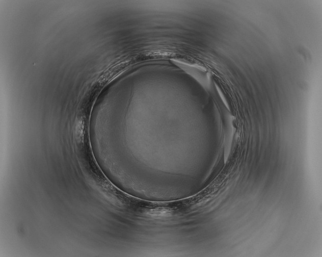 X0000113140551200909181732