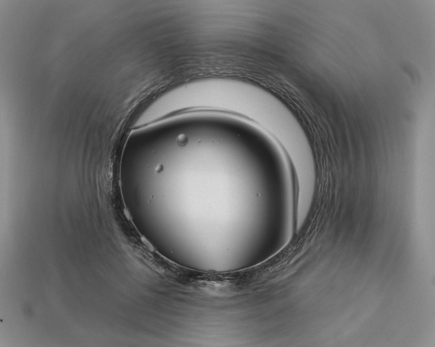 X0000113140552200909181732