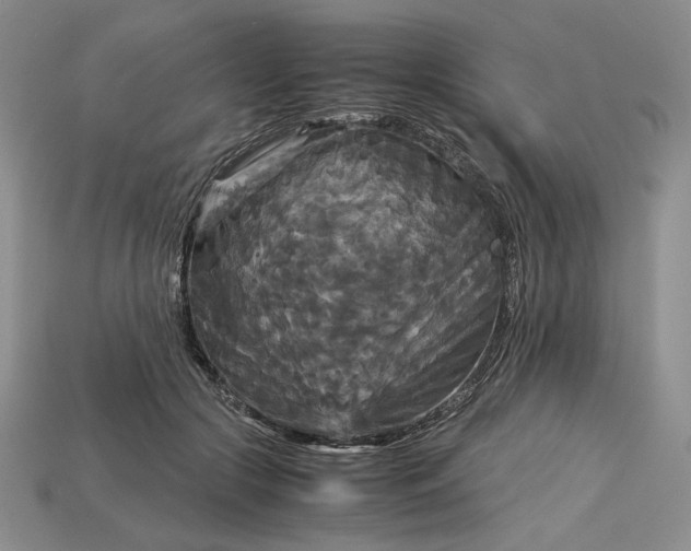 X0000113140553200909181732