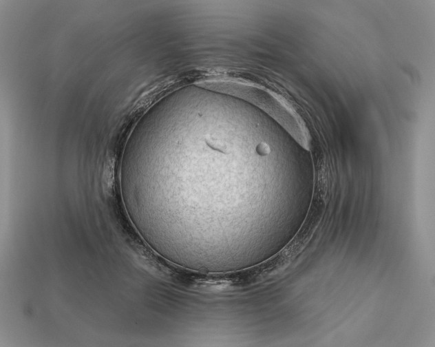 X0000113140554200909181732