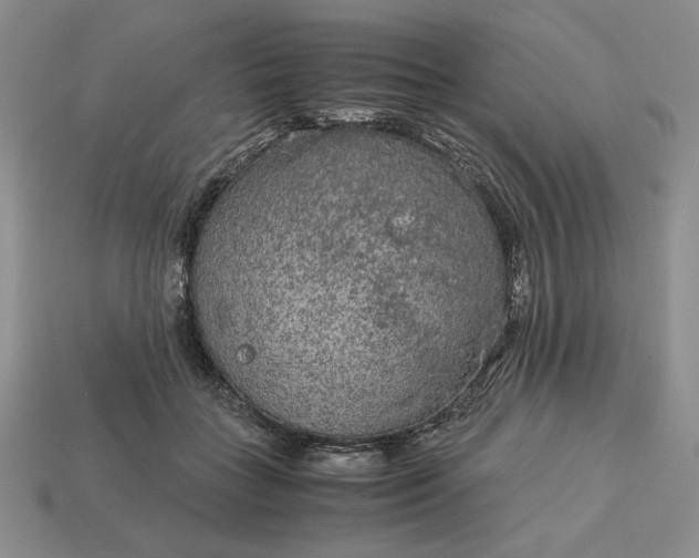 X0000113140555200909181732