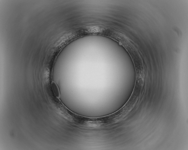 X0000113140556200909181732