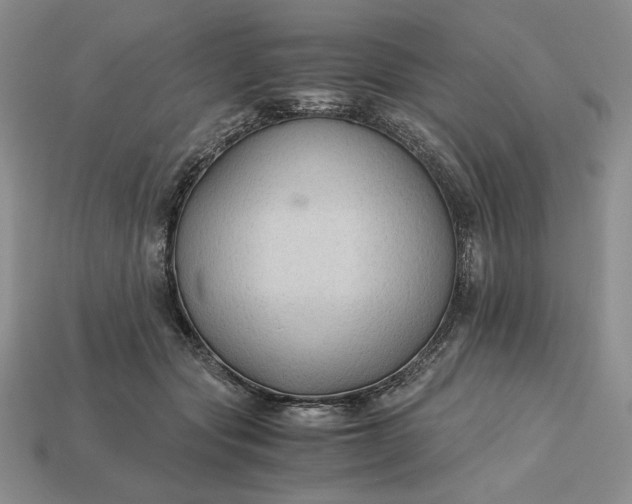 X0000113140557200909181732