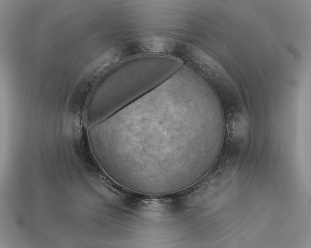 X0000113140558200909181732