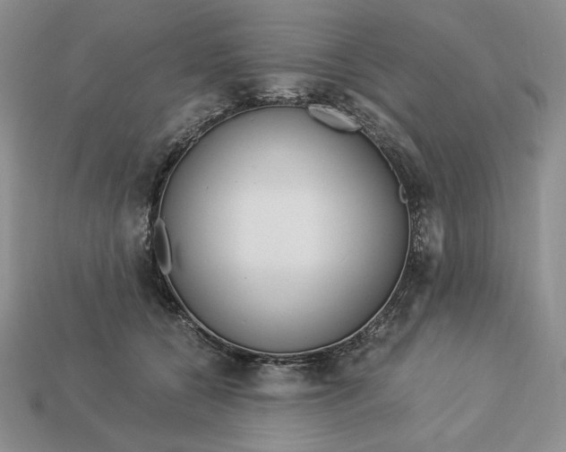 X0000113140560200909181732