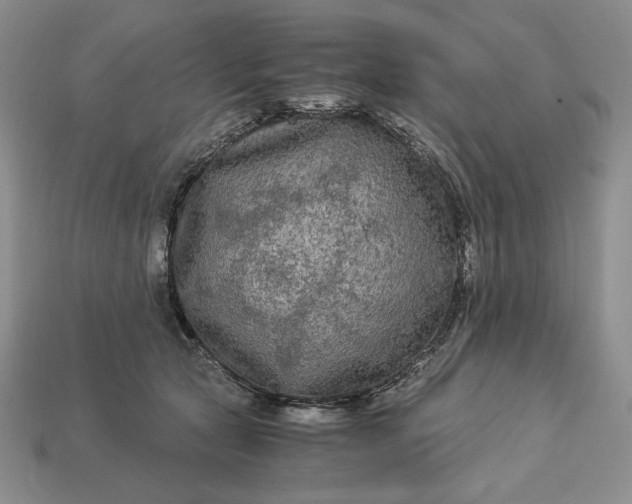 X0000113140561200909181732