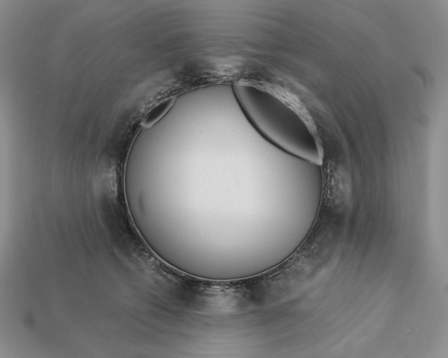 X0000113140562200909181732