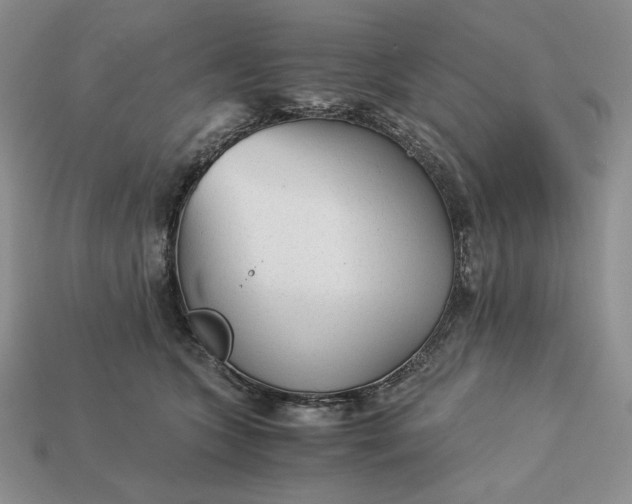 X0000113140563200909181732