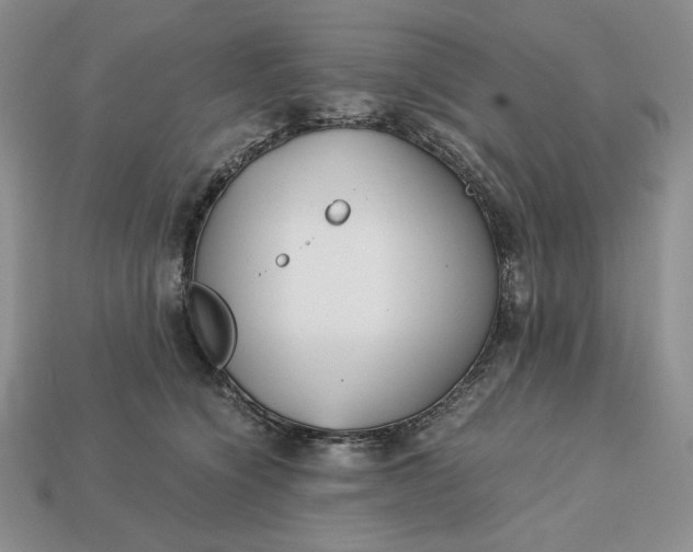 X0000113140564200909181732