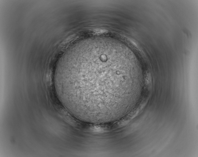 X0000113140565200909181732