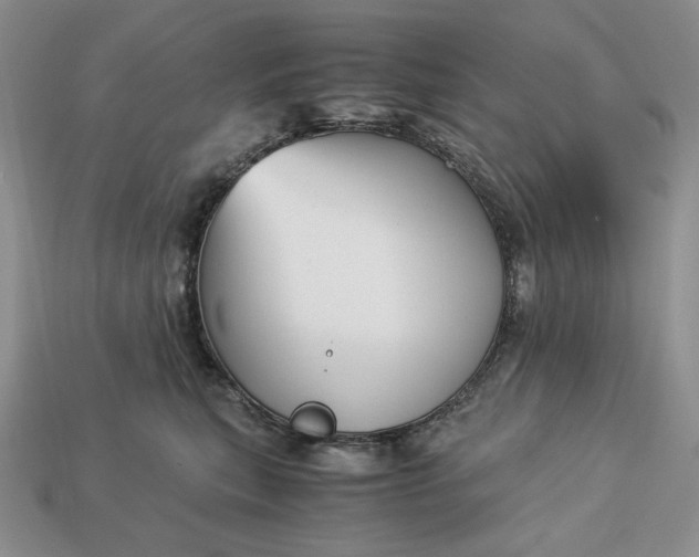 X0000113140567200909181732