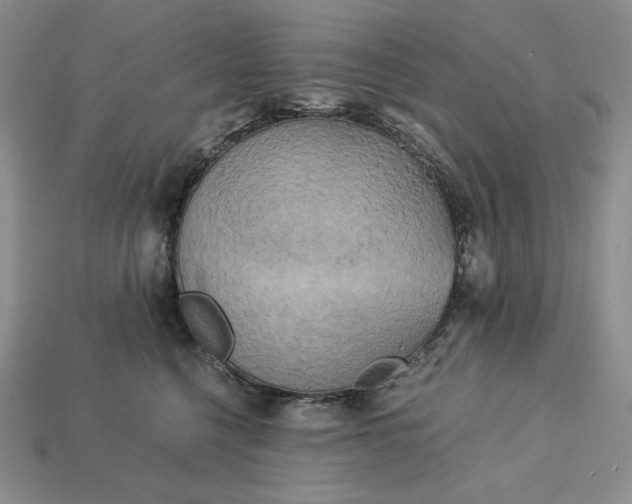 X0000113140568200909181732