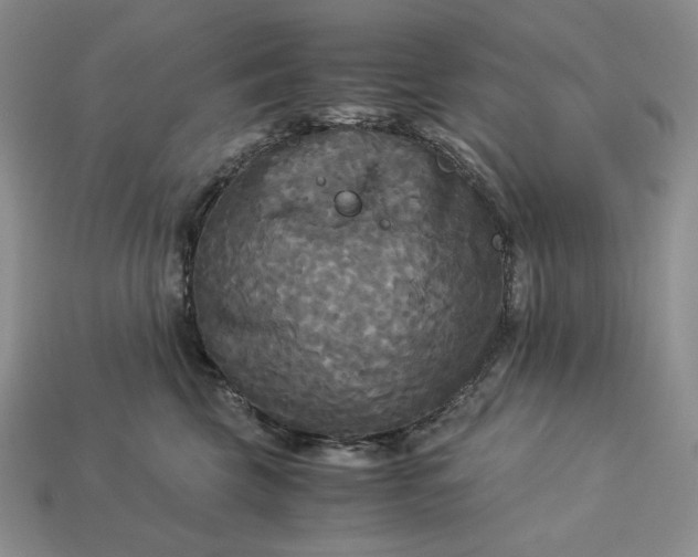 X0000113140569200909181732