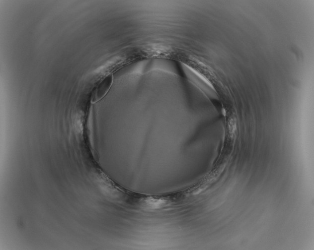 X0000113140570200909181732